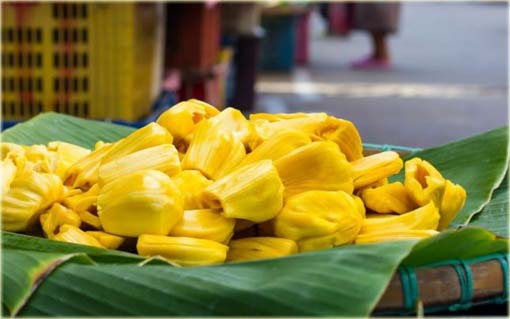Dżakfrut, jackfruit, drzewo bochenkowe, chlebowiec różnolistny